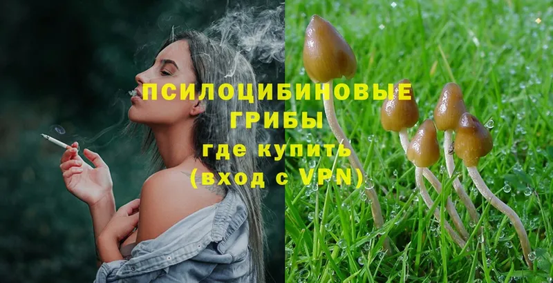 цены   Златоуст  Галлюциногенные грибы MAGIC MUSHROOMS 